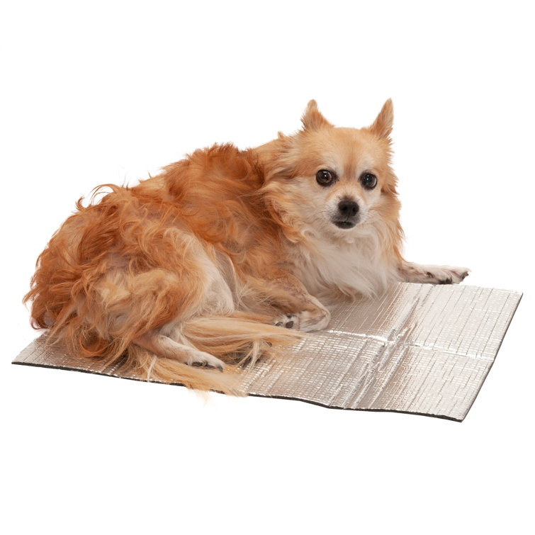 Outdoor Pet Bed Accessory