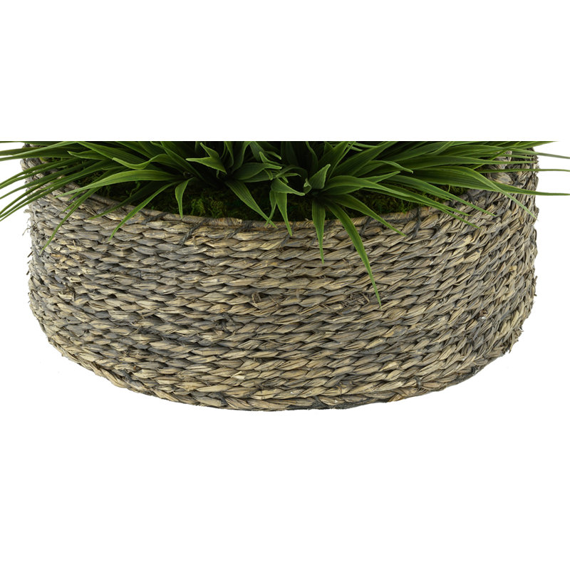 Gazon artificiel 8 po dans un panier, Blanc, Vert, H 12 po x l 18 po x P 18 po