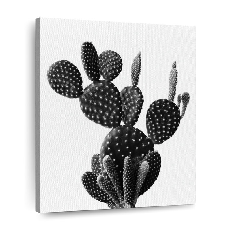 Cactus épine - impression sur toile tendue, H 25 po x l 20 po x P 1,25 po