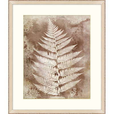 Routt Ferns 2 Painting