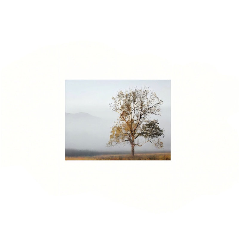«Autumn Cades Cove», art mural en toile sans cadre 24 po x 18 po
