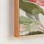 GICLE KING PROTEA