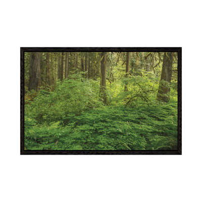 Take My Breath Away by Louis Ruth - Gallery-Wrapped Canvas Giclée on Canvas