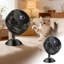 Caméra dôme pour animal de compagnie HD WiFi 1 080 P, noir