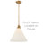 Arti Medium Adjustable Dome Pendant Light with On/Off Switch-88422471