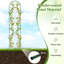 Metal Arched Trellis-54254351-54254345