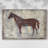Iron Equine I-Gallery Wrapped Canvas-1701102120