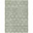 Machine Washable Indoor/Outdoor Xhevrie Aloe Rug-530000986