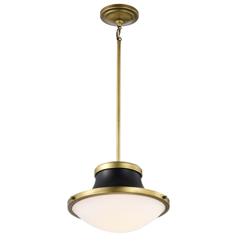 Luminaire suspendu Vanek Schoolhouse, Noir mat, 50.13" H x 14" W x 14" D