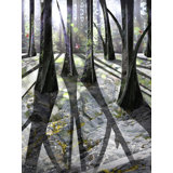 Through The Woods Print by Leslie Kell