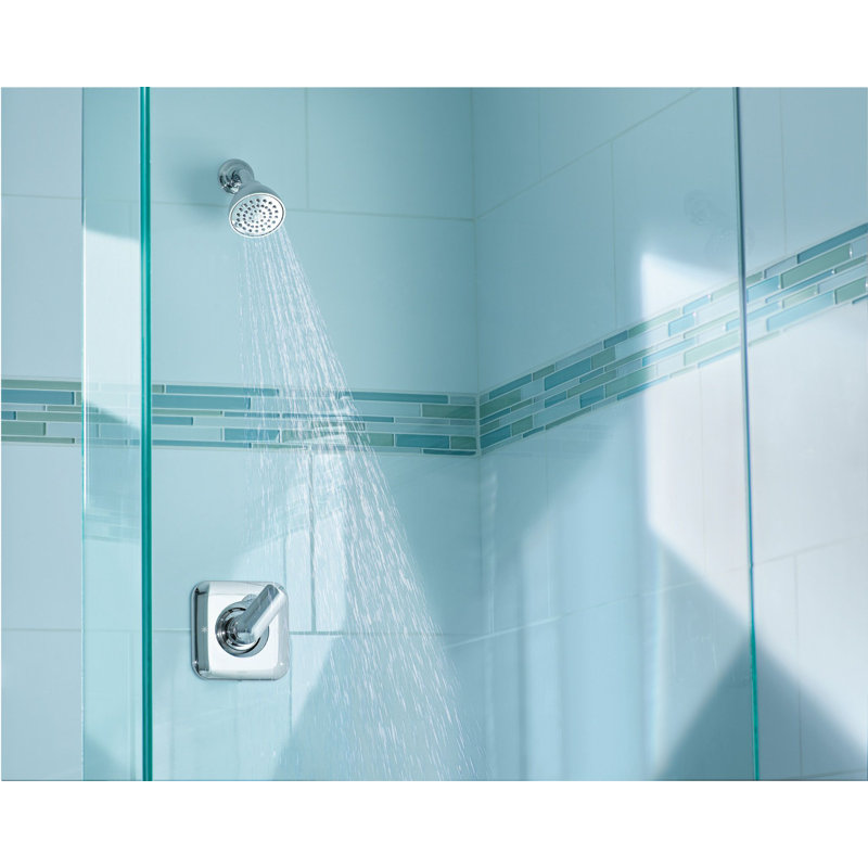 Rizon Shower Head with Handle and Posi-Temp, Chrome
