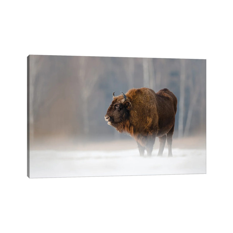 MTU123-Bison II, H 12 po x l 18 po x 1,5 po