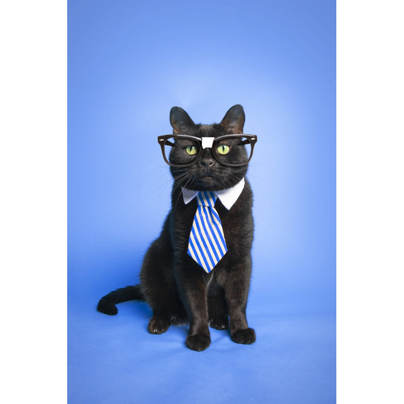 Smart cat, 91cm H x 61cm W