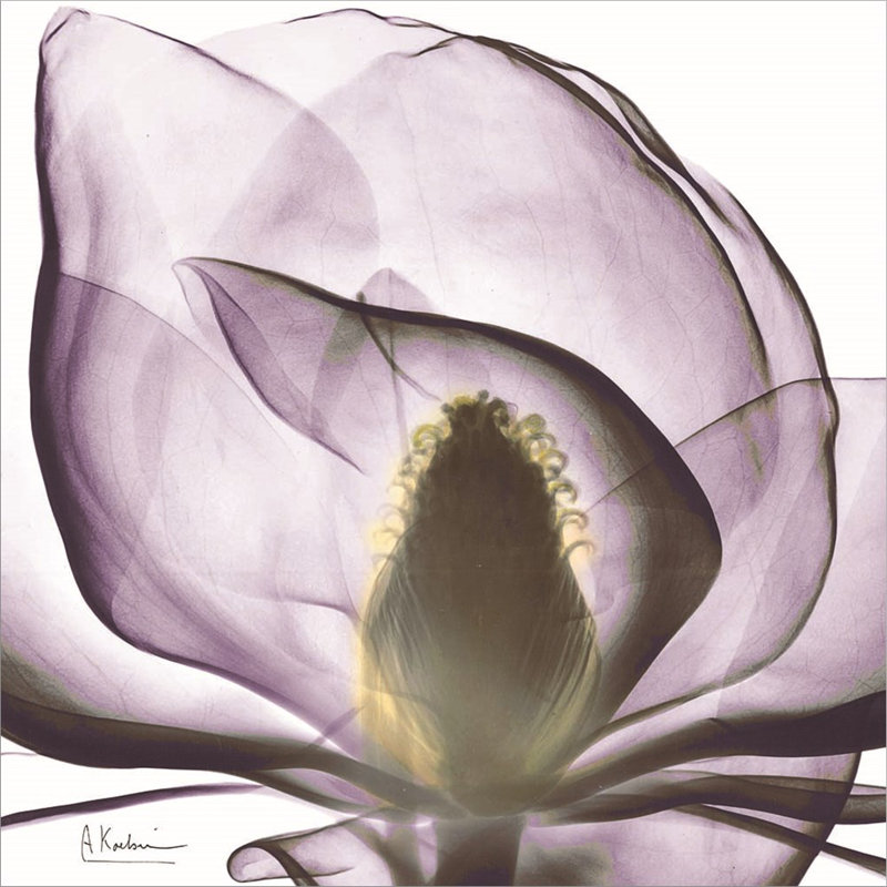 «Magnolia» par Albert Koetsier, art mural sur toile