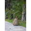 Lanterne conique en bois Coconio