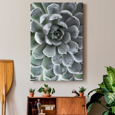 Zen Succulent III - reproduction de photo sur toile tendue