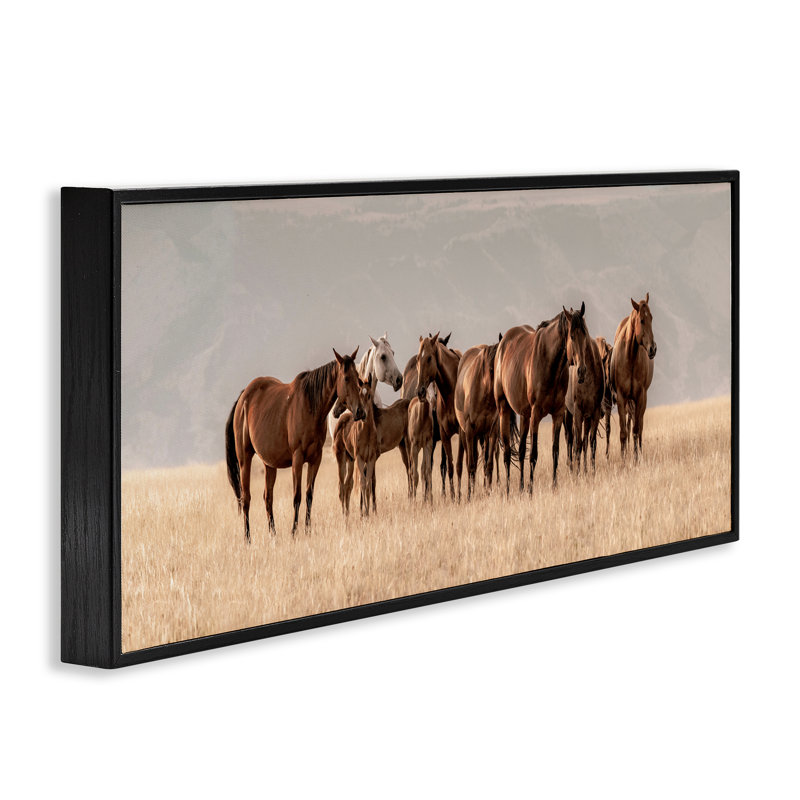 Giclée encadrée du Montana Mares, par Christy Berry, H 10 po x l 24 po, Giclée encadrée noir minuit