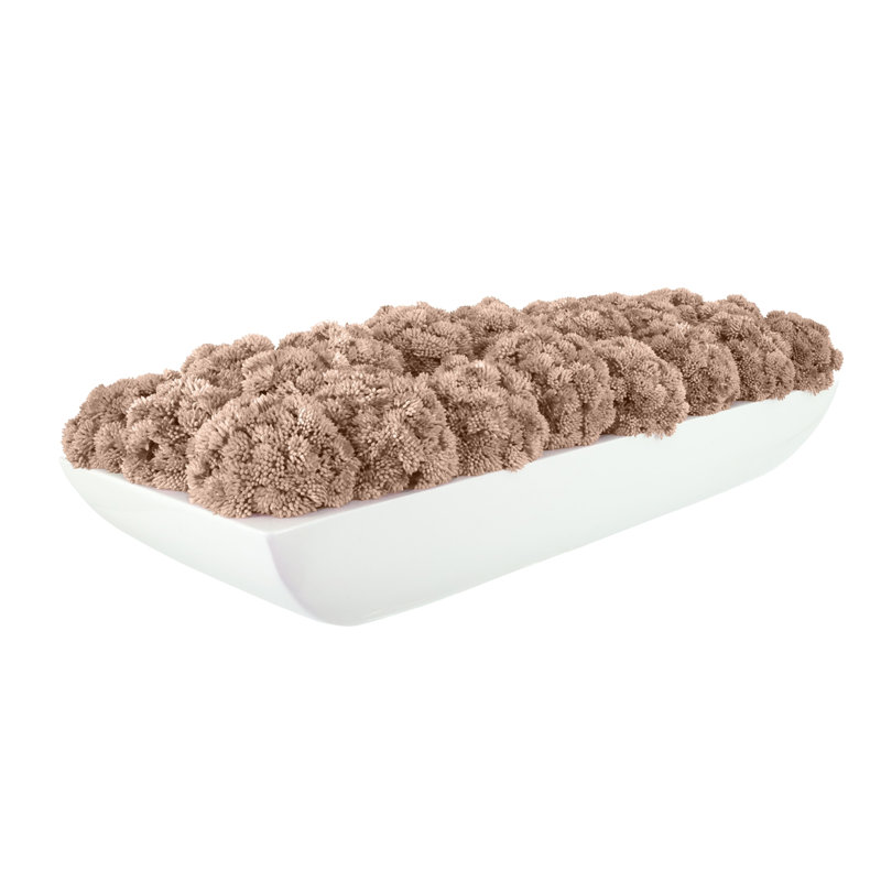 Arrangement de sédums dans un pot Fiberstone, H 8 po x l 26 po x P 10 po, Beige, Blanc