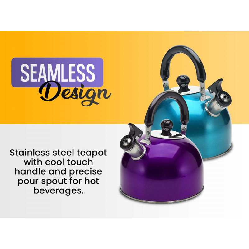 Stainless Steel 4L Whistling Tea Kettle with Black Handle