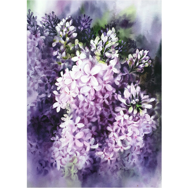 Aquarelle Regal | Aquarelle sur papier | Puja Kumar