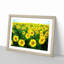 Yellow Sunflower Meadow - Picture Frame Painting Print-55613799-55613801