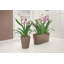 Delta Premium Window Box Planter-16493130-16493133