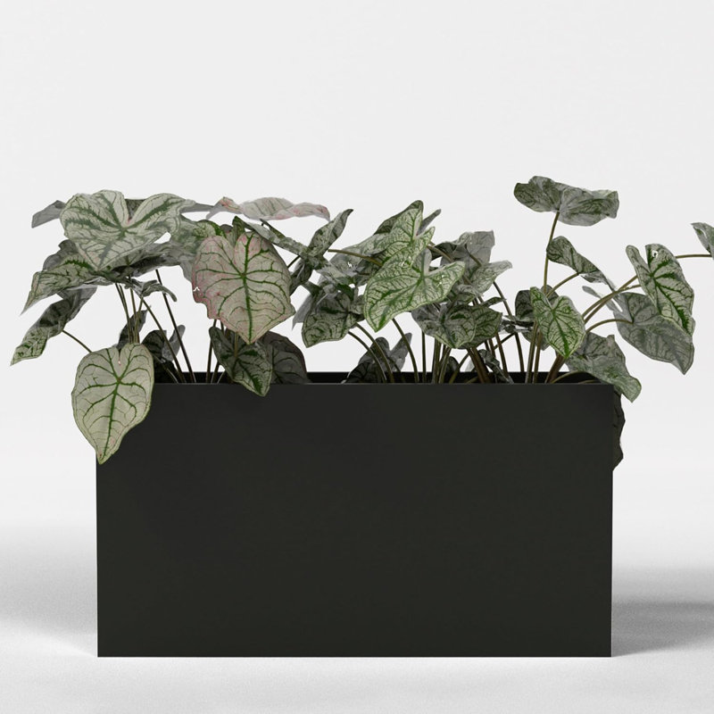 Greenline Fiberglass Alice Large Indoor/Outdoor Rectangle Planter -, Matte Black, 32" H x 16" W x 72" D