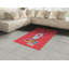 Ambesonne Birthday Area Rug, Pink Strawberry Flavour Cupcake With Candle Face Bow Tie And Dots, Flat Woven Accent Rug For Living Room Bedroom Dining Room, 4' X 5.7' , Multicolor-42030845