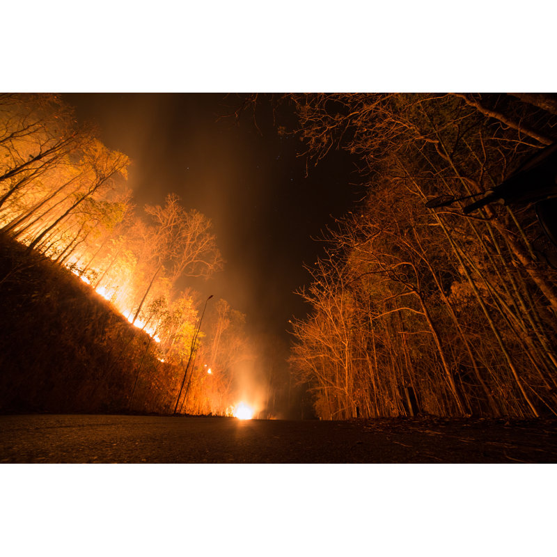 Wildfire by Khlongwangchao - Wrapped Canvas Print, 61cm H x 91cm W