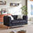 Luxury Velvet Sofa With 2 Pillows-1969891485-1969891480-1969891484