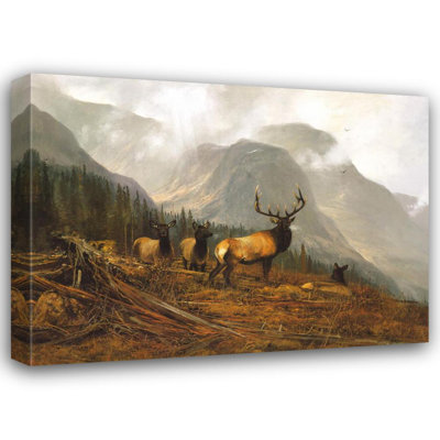 Bookcliffs Elk I