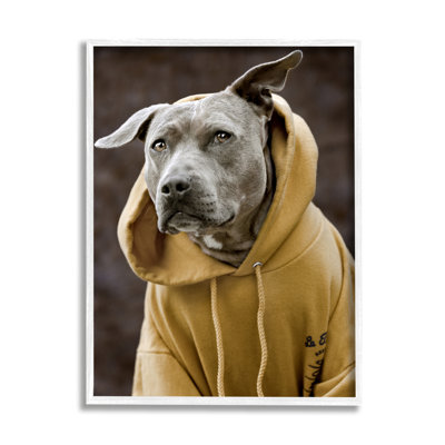 " Smiling Labrador Dog Wearing Hooded Yellow Sweatshirt " by Michael Brian