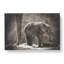 Mother And Baby Elephant Together - Wrapped Canvas-56628924