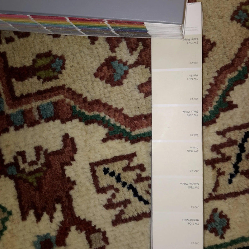 Kasonya Oriental Area Rug in Black