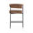 Lyssa Upholstered Counter Stool-85751179-118378599-123751489