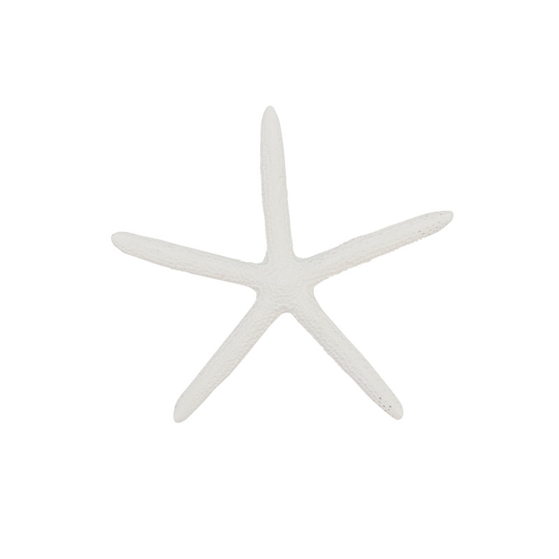 Ocean's Beauty Resin Starfish (Set of 12)