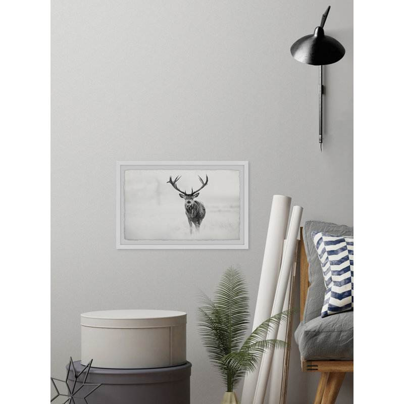 'Elk Stare' Framed Print on Paper, 24" H x 36" W x 1.5" D