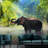 Elephant In The Water-88673500