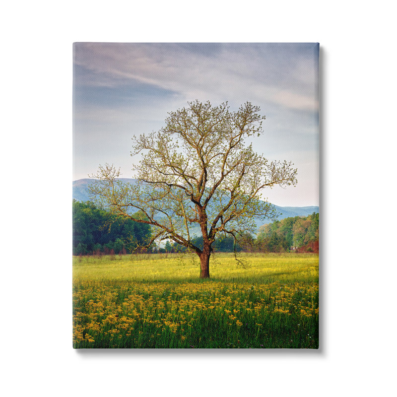 Art mural sur toile Lone Tree Wildflower Meadow Floater par Rick Berk, H 30 po x l 24 po x P 1,5 po, Toile tendue