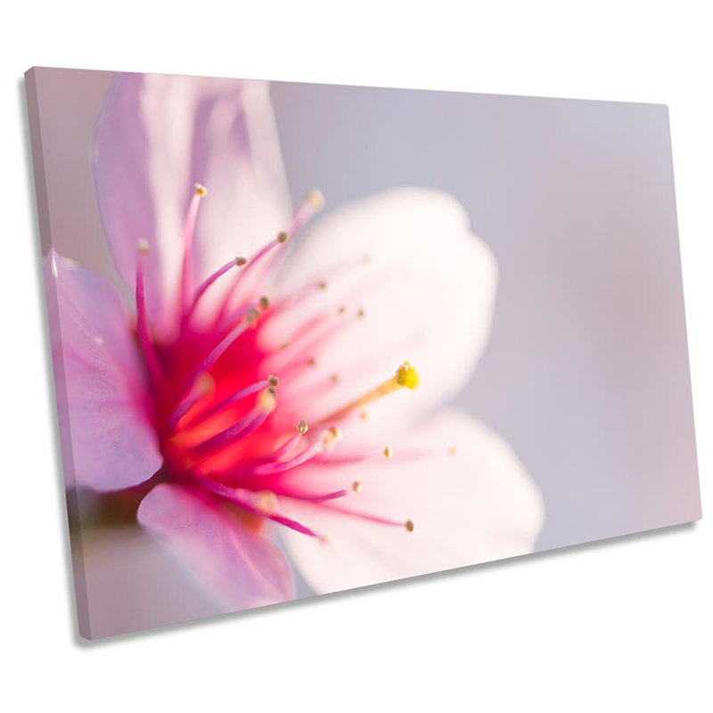 Wrapped Canvas Print, 30.5cm H x 45.7cm W x 2cm D