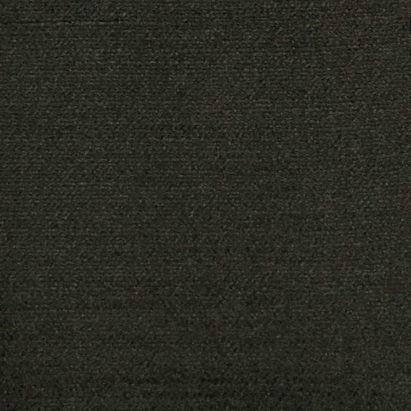 Majestic-Queen Shany Cotton Plain Velvet Fabric, Espresso