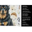 Torchon noir et brun tibétain Mastiff-1234934540
