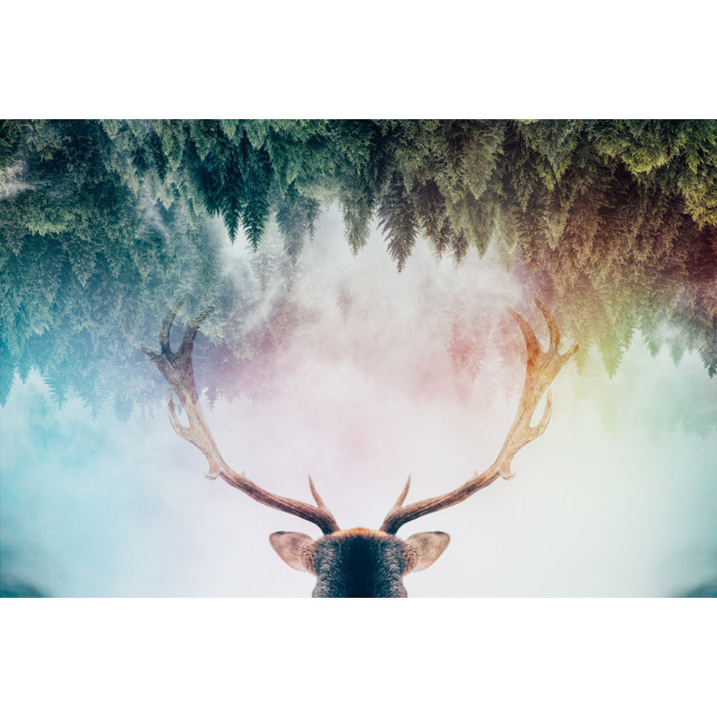 Wrapped Canvas Print, 50.8 cm H x 76.2 cm W