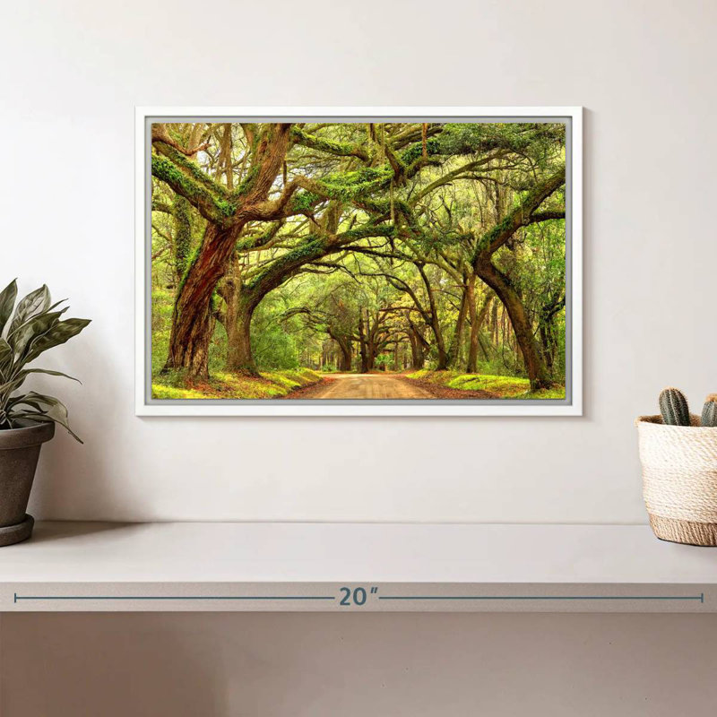 Charleston Oak Forest, Cadre flottant blanc, 13 po x 9 po