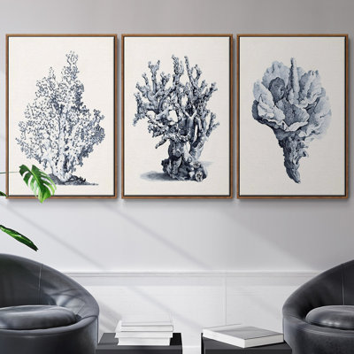 Blue Antique Coral I - ensemble de 3 reproductions de photos sur toile