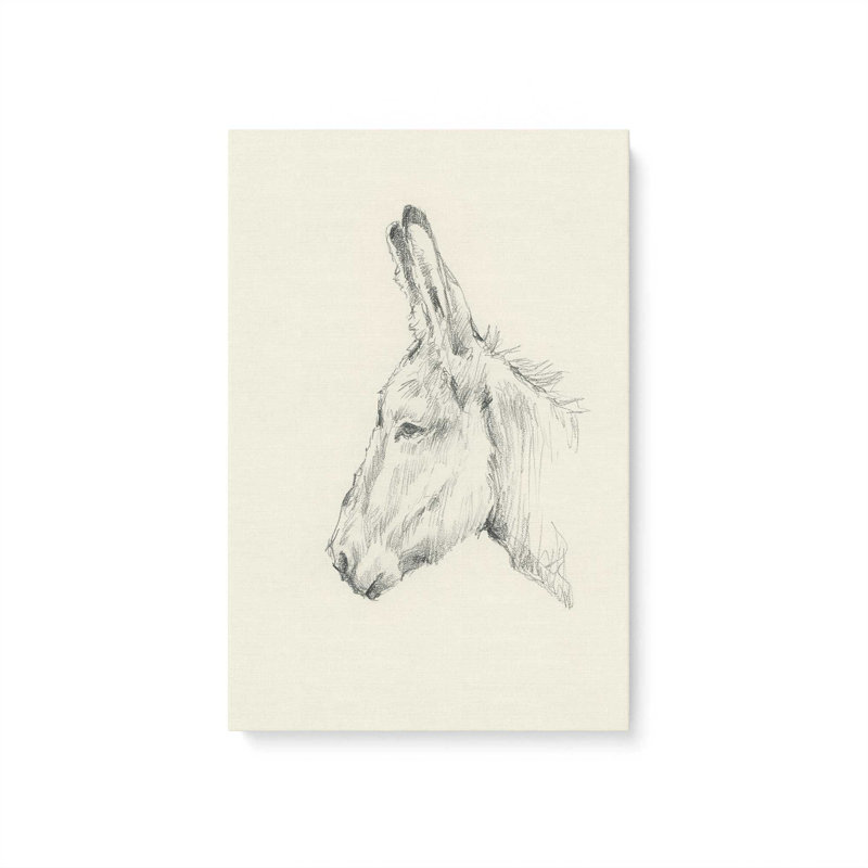 «Donkey Study II» par Ethan Harper, reproduction d'art sur toile, Sans objet, H 16 po x l 12 po, Toile tendue