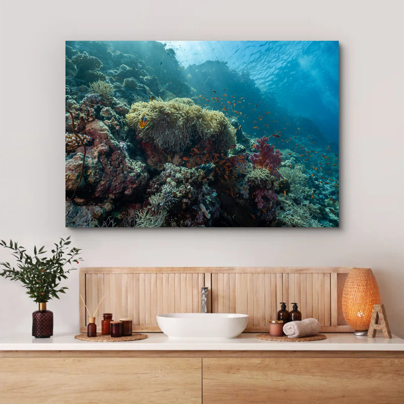 Clownfish Swimming over a Coral Reef, 12" H x 18" W