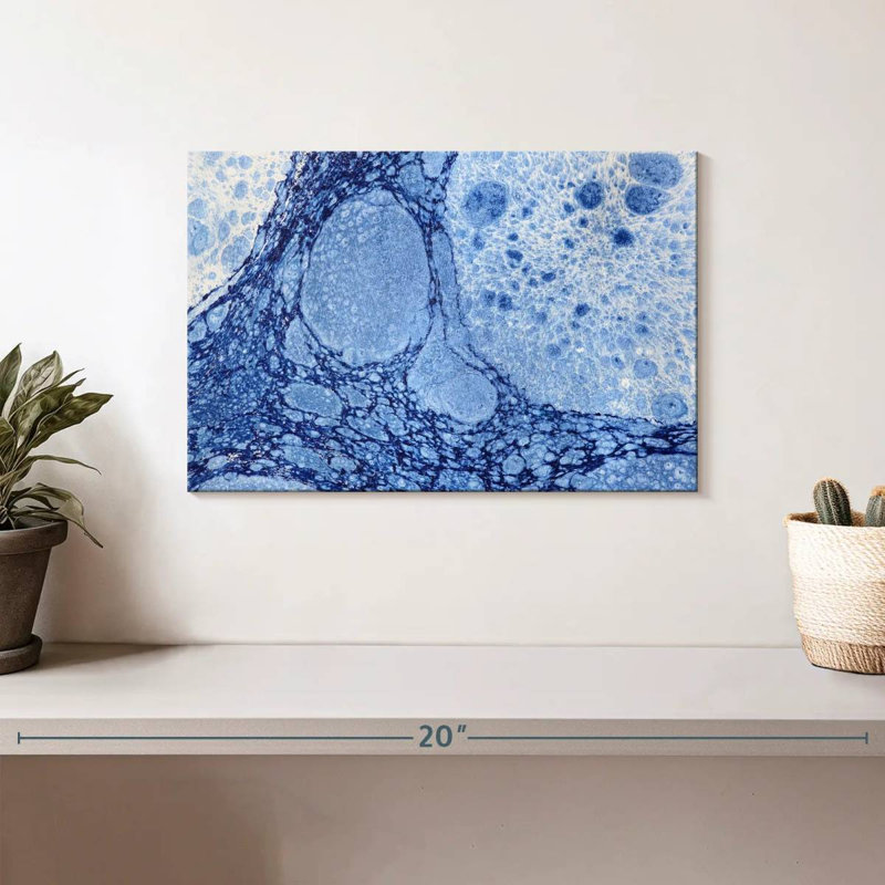 Avery Marbled Blue Abstract