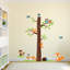 Tableau de croissance de l’arbre fox Krout