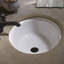 Dartmouth® Vitreous China Oval Undermount Bathroom Sink with Overflow-26258206